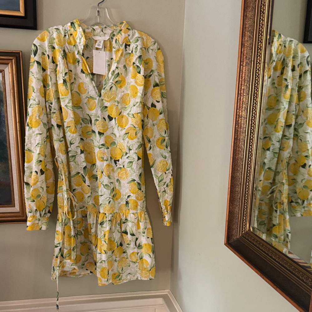 NEW H&M Plumeti Lemon Print Dress US M Medium Sold Out Resort Summer Floral - Picture 6 of 6